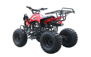 Raptor 125cc Youth ATV 3-speed with reverse model