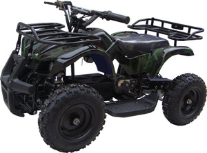 Apache Kids Electric ATV 350W 24V 4-Wheelers